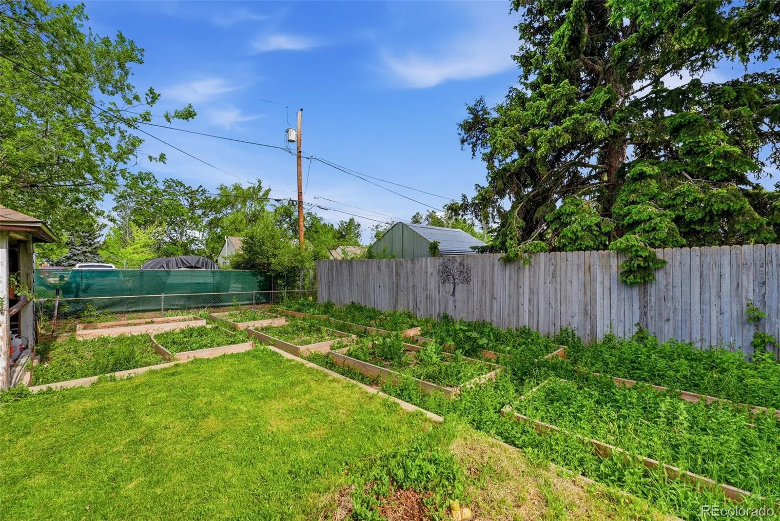 2060 Dover Street Lakewood CO 80215 MLS #REC2170823 06092026071355 1600 35