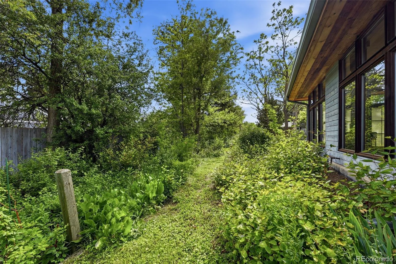 2060 Dover Street Lakewood CO 80215 MLS #REC2170823 06092026071355 1600 36