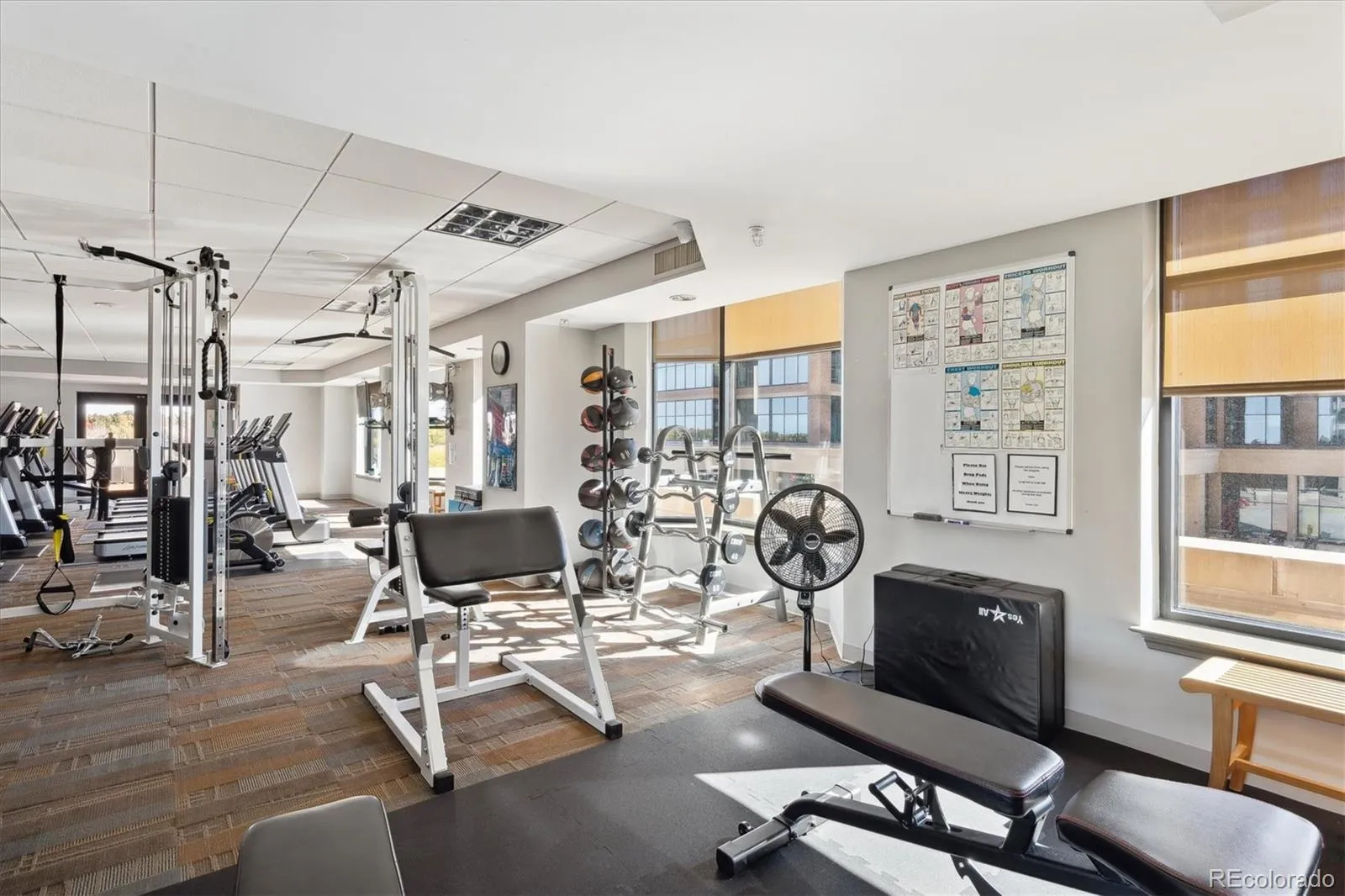 04202026165307 1600 13