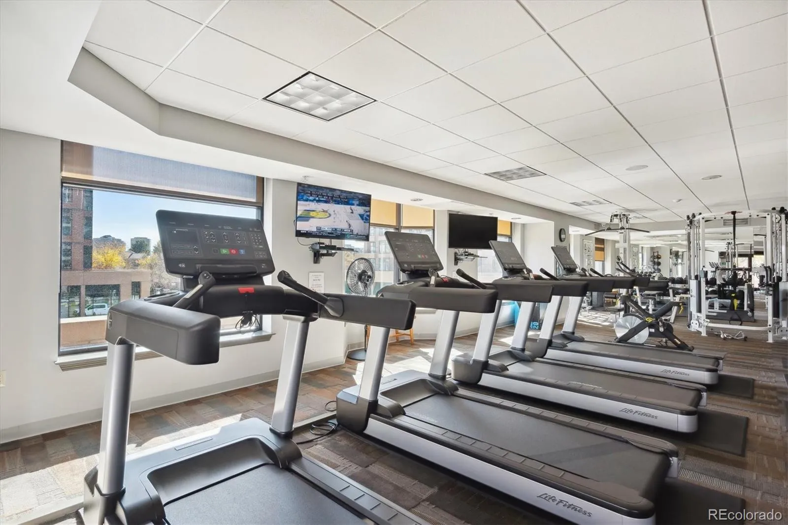 04202026165307 1600 14