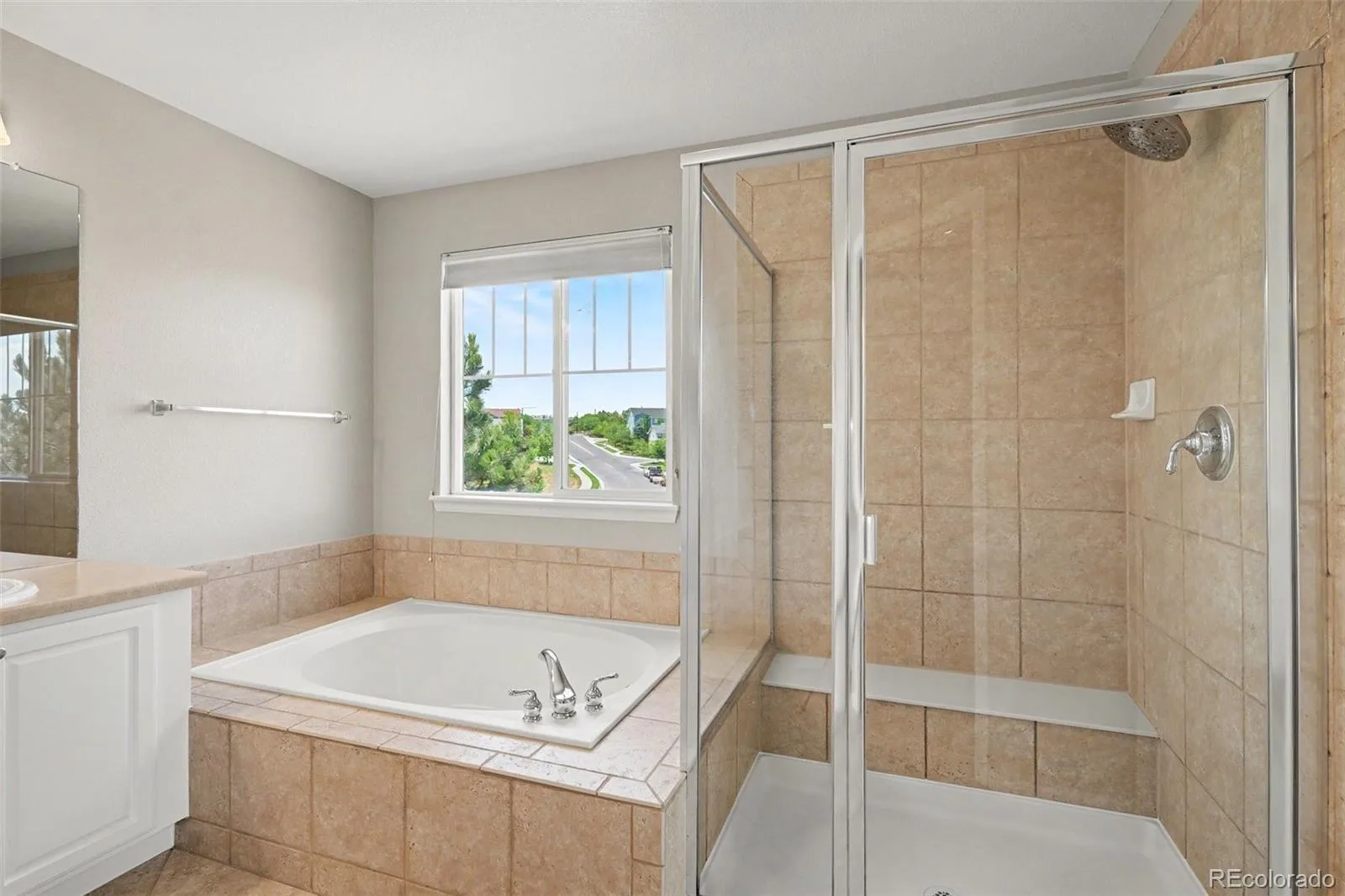 10459 Wagon Box Circle Highlands Ranch CO 80130 | MLS #REC2175686 07232026180133 1600 24