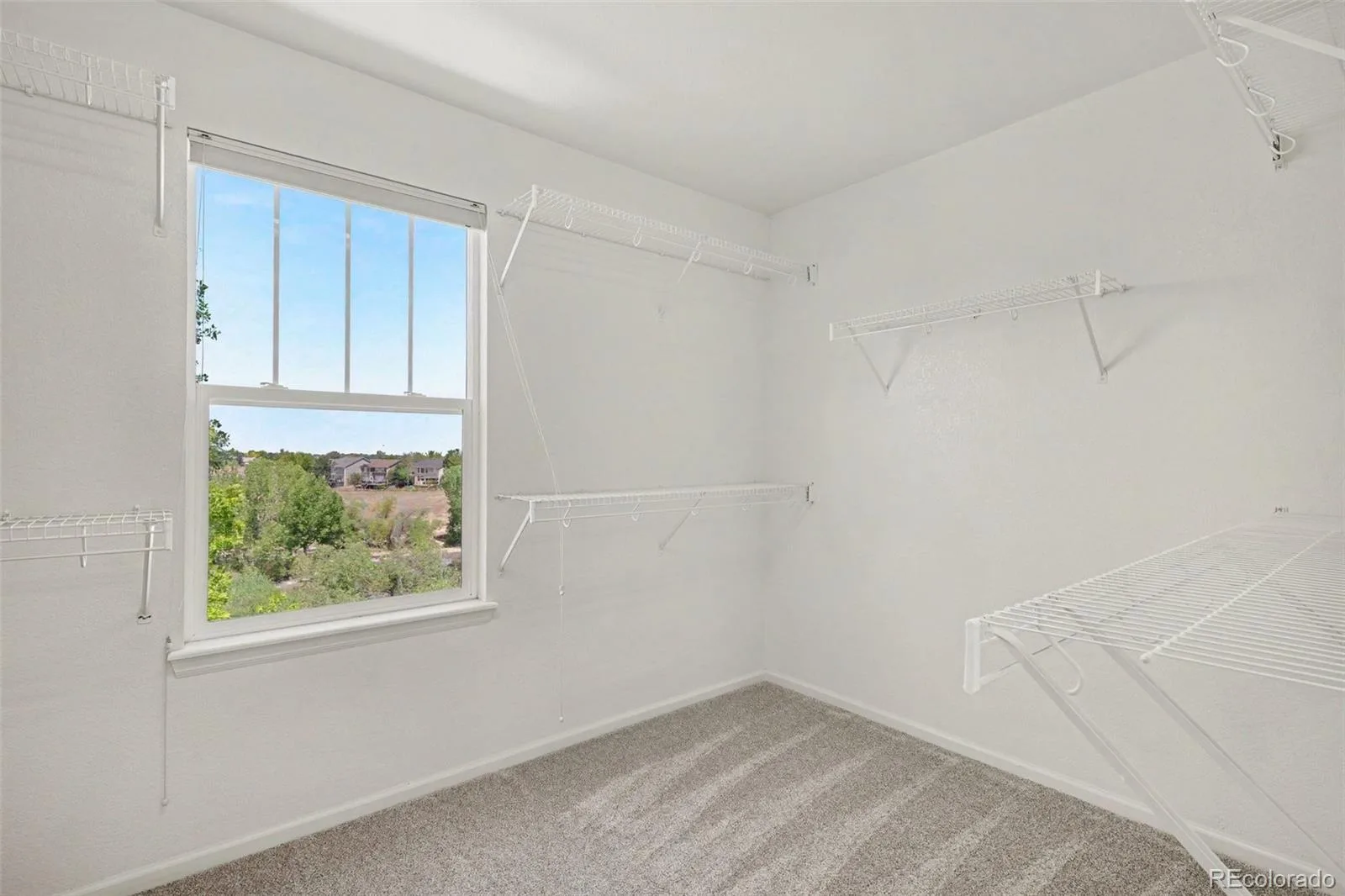 10459 Wagon Box Circle Highlands Ranch CO 80130 | MLS #REC2175686 07232026180133 1600 25