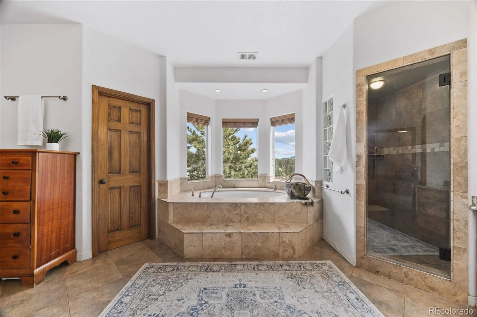 29697 Gigi Road Evergreen CO 80439 | MLS #REC2182320 06152026041729 1600 16