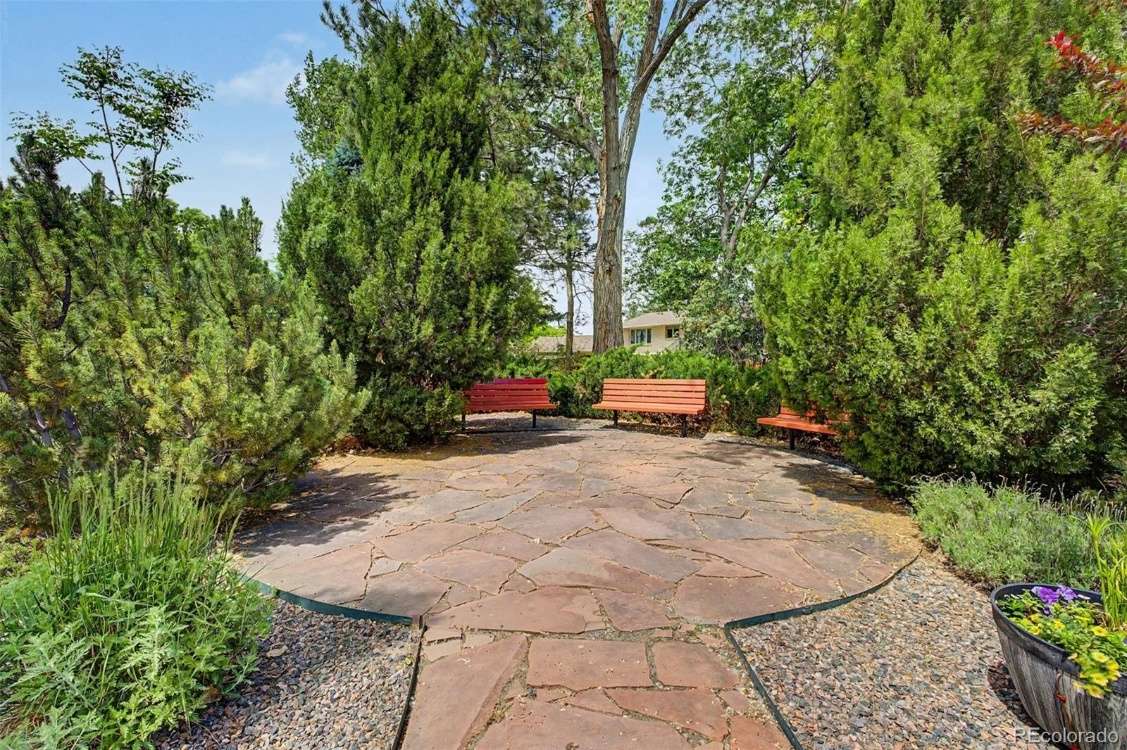 5155 W Quincy Avenue #D102 Denver CO 80236 | MLS #REC2186334 06022026185116 1600 35