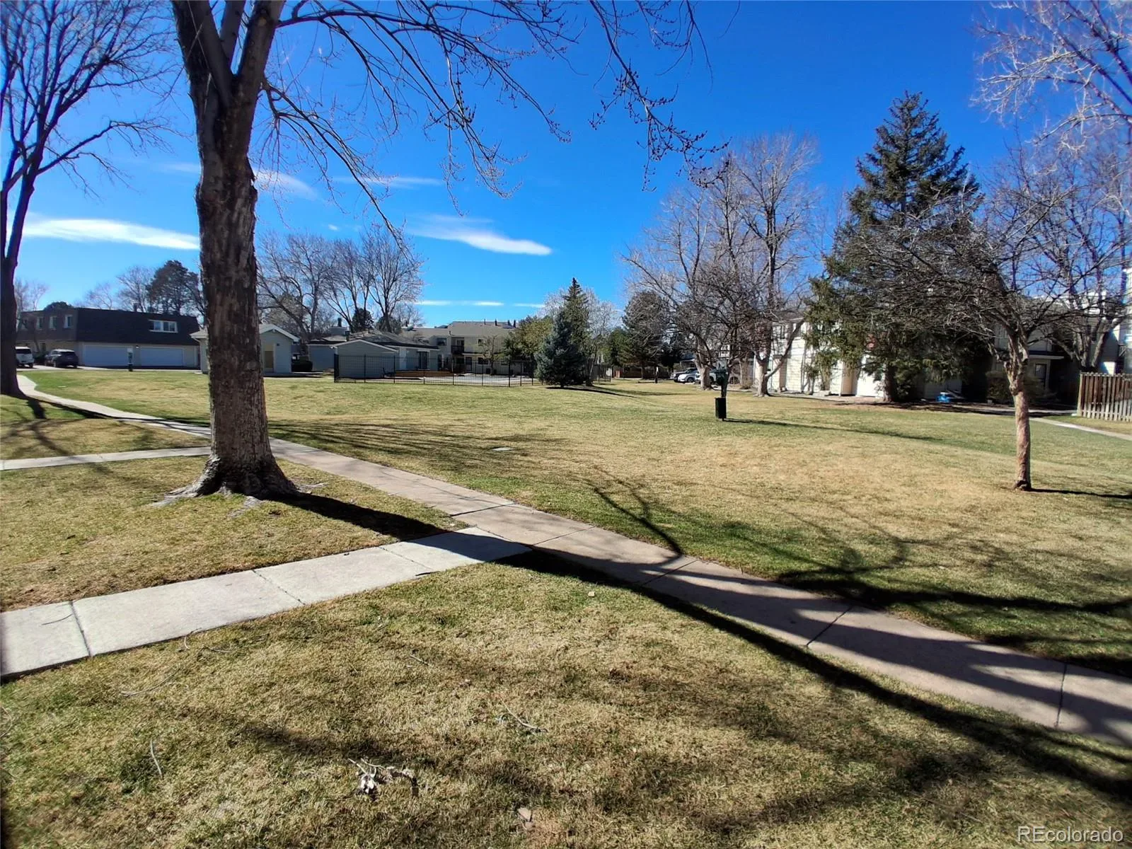 1135 S Oneida Street #A Denver CO 80224 MLS #REC2188177 03192026225518 1600 3
