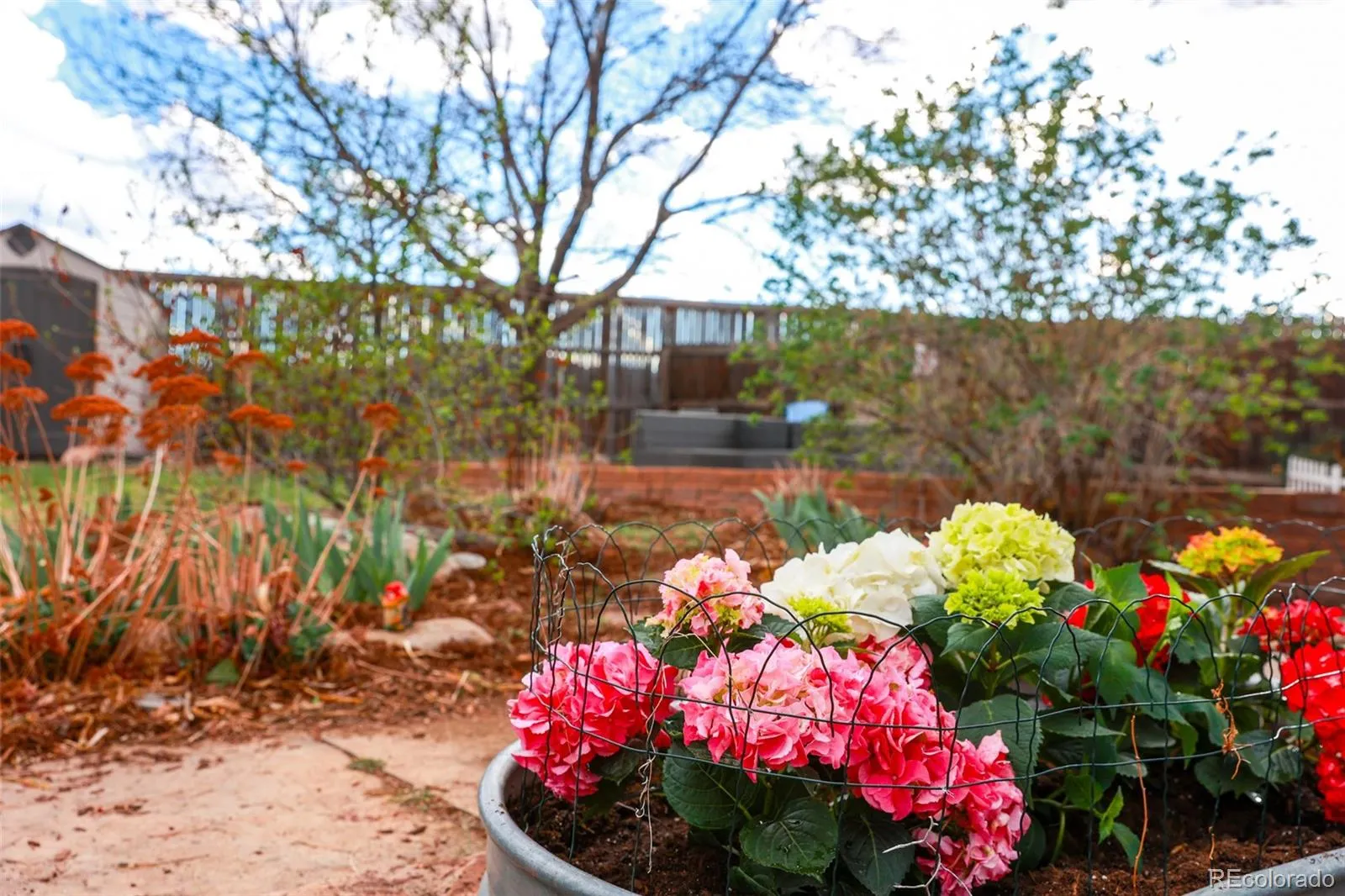 04172026154923 1600 37