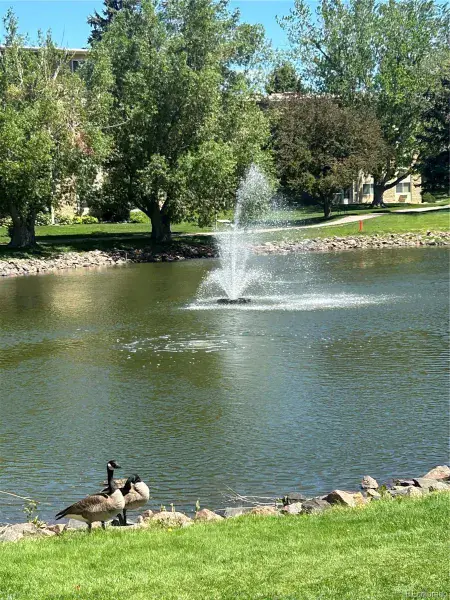 3144 S Wheeling Way #401 Aurora CO 80014 MLS #REC2197273 02252026172728 800 27