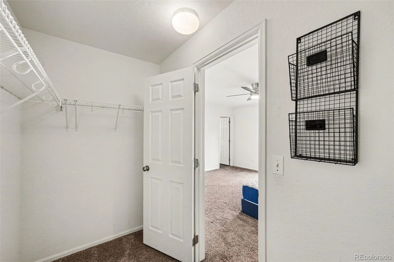 4645 S Swadley Court Morrison CO 80465 | MLS #REC2207532 08112026183328 1600 14