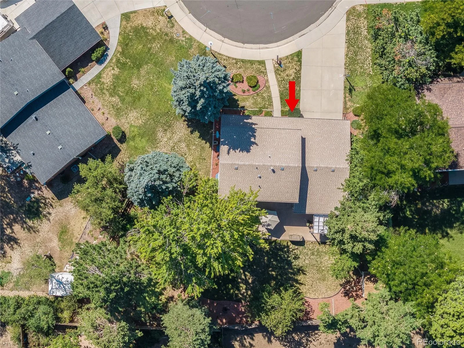 7664 S Race Street Centennial CO 80122 | MLS #REC2210322 09232026094913 1600 40