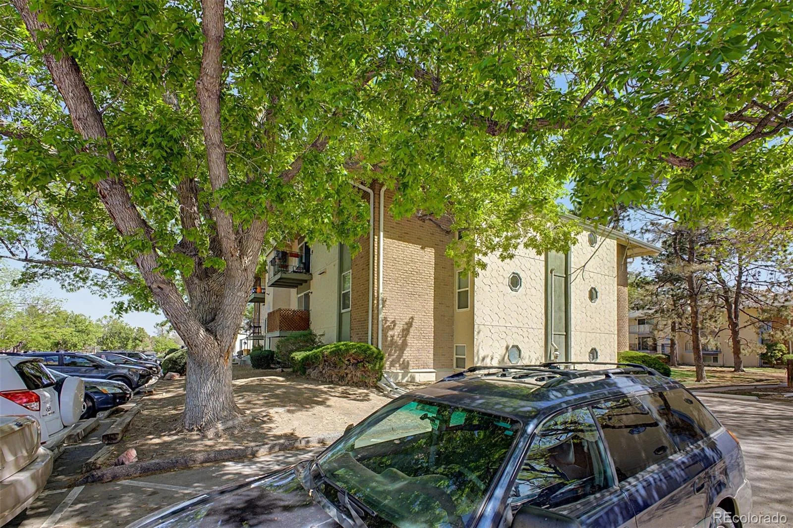 12100 Melody Drive #102 Denver CO 80234 | MLS #REC2215058 06192026035207 1600 1