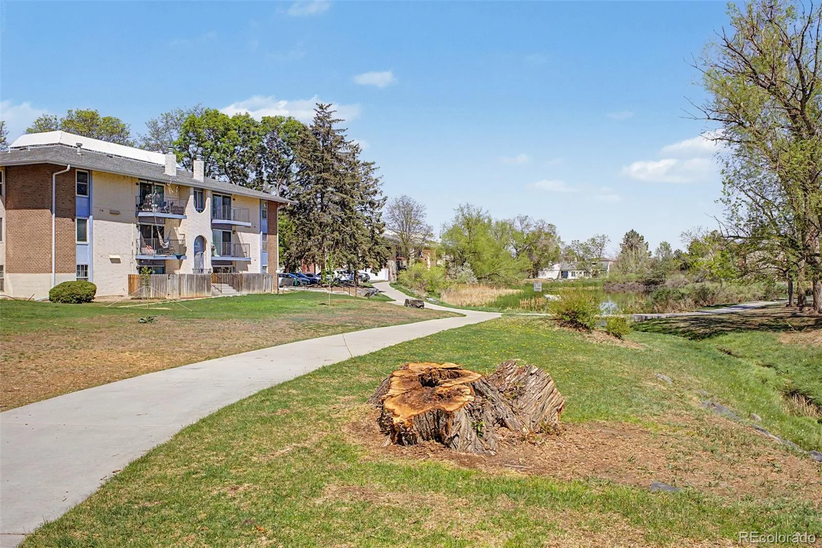 12100 Melody Drive #102 Denver CO 80234 | MLS #REC2215058 06192026035207 1600 22