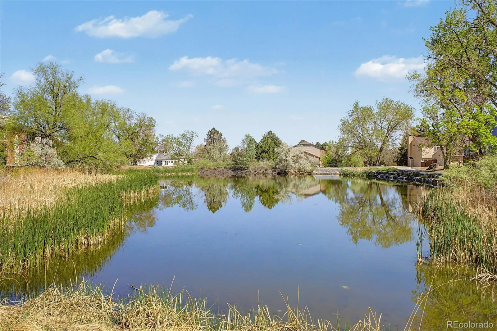 12100 Melody Drive #102 Denver CO 80234 | MLS #REC2215058 06192026035207 1600 23