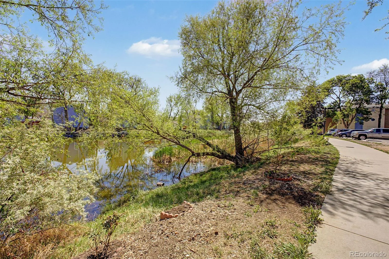 12100 Melody Drive #102 Denver CO 80234 | MLS #REC2215058 06192026035207 1600 24
