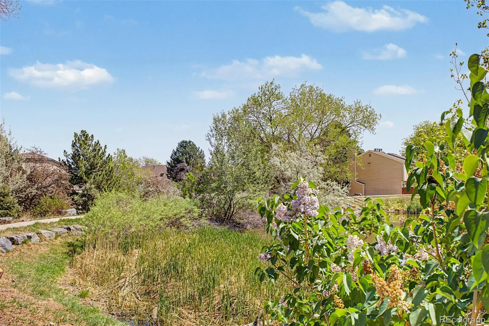 12100 Melody Drive #102 Denver CO 80234 | MLS #REC2215058 06192026035207 1600 25