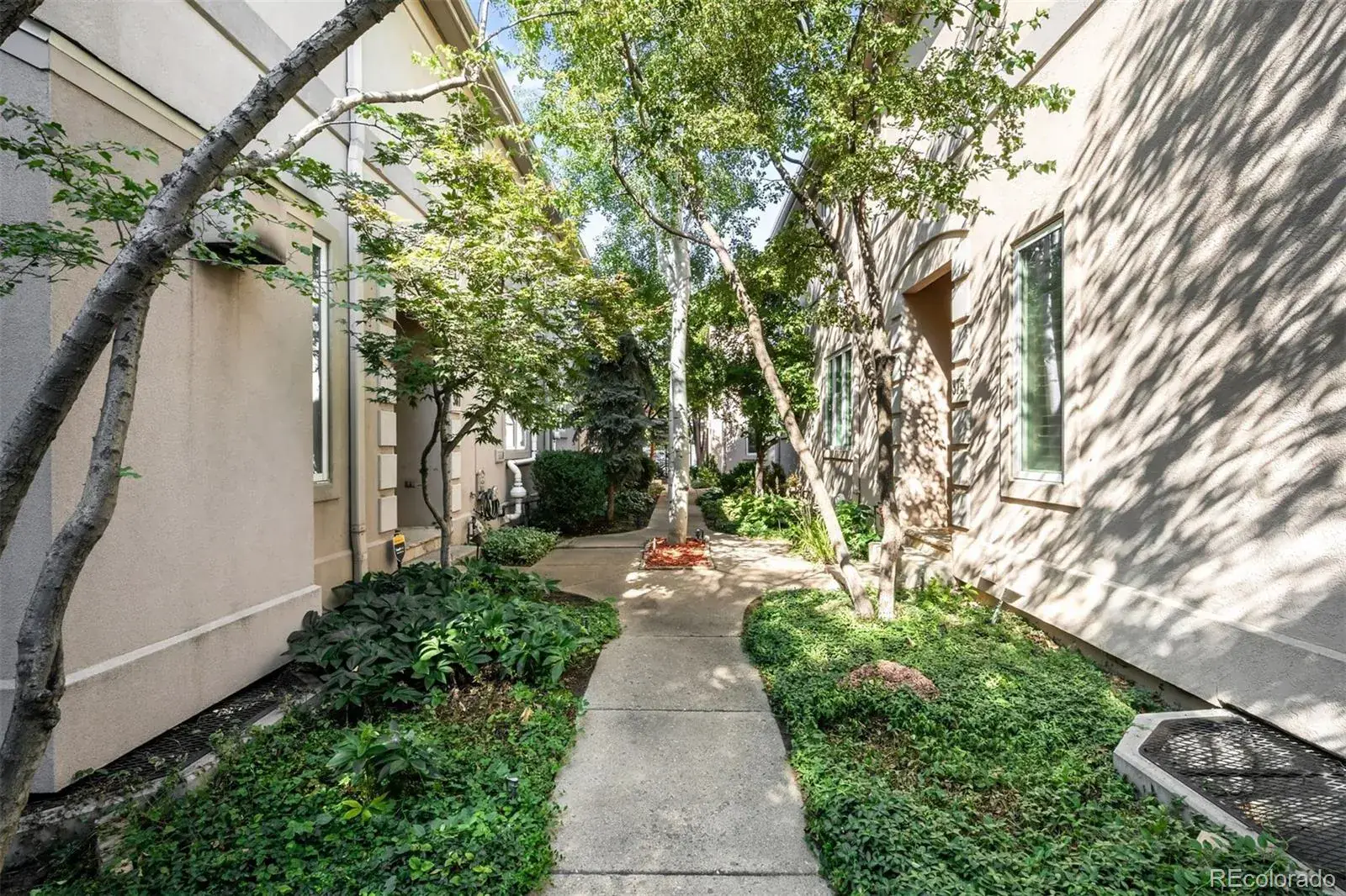 02152026180605 1600 18