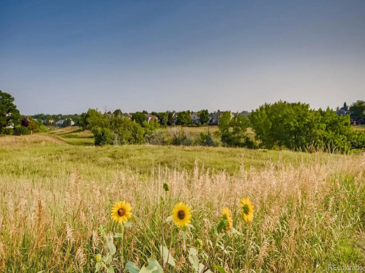 2225 Mountain Sage Drive Highlands Ranch CO 80126 MLS #REC2229500 05262026205135 1200 36