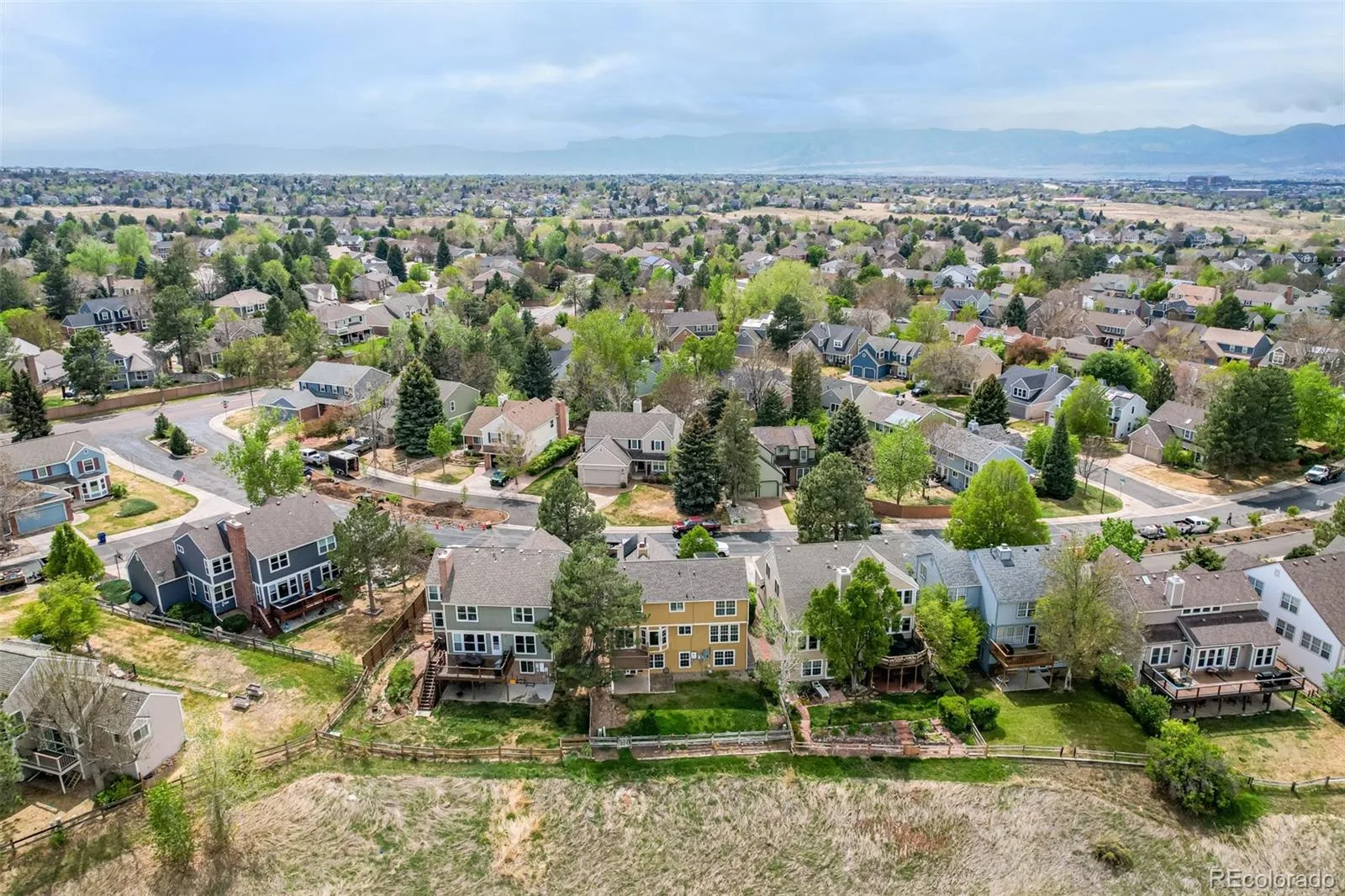 2225 Mountain Sage Drive Highlands Ranch CO 80126 MLS #REC2229500 05262026205135 1600 33