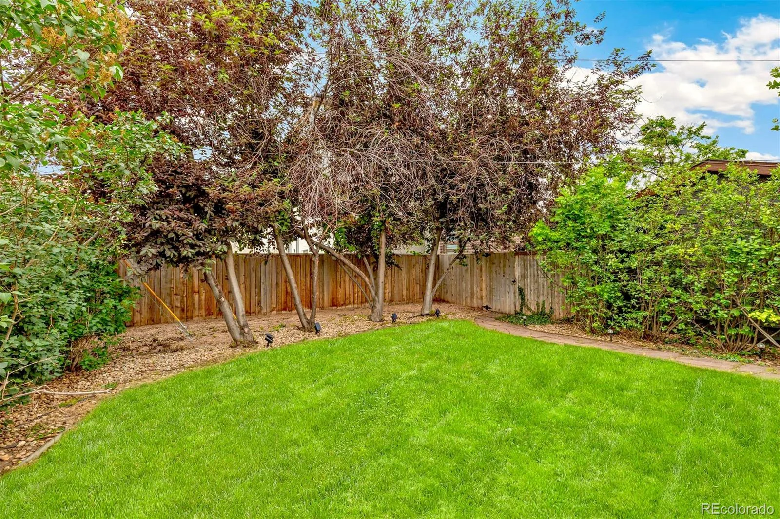 3010 Irving Street Denver CO 80211 MLS #REC2237974 06092026023555 1600 31
