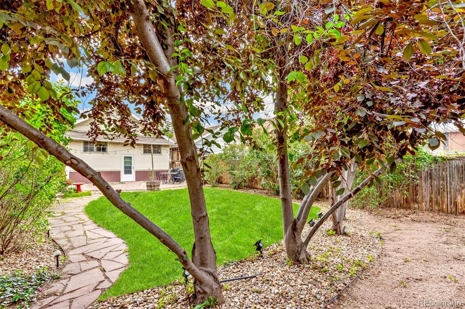 3010 Irving Street Denver CO 80211 MLS #REC2237974 06092026023555 1600 33
