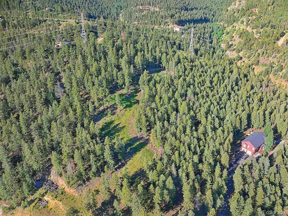 900 Elk Valley Drive Evergreen CO 80439 MLS #REC2247699 06242025010416 1200 1