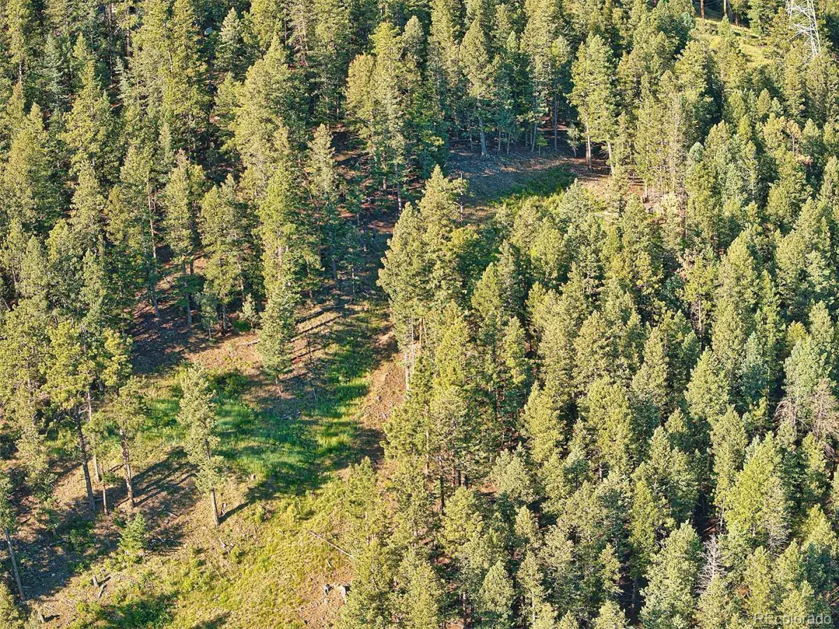 900 Elk Valley Drive Evergreen CO 80439 MLS #REC2247699 06242025010416 1200 10