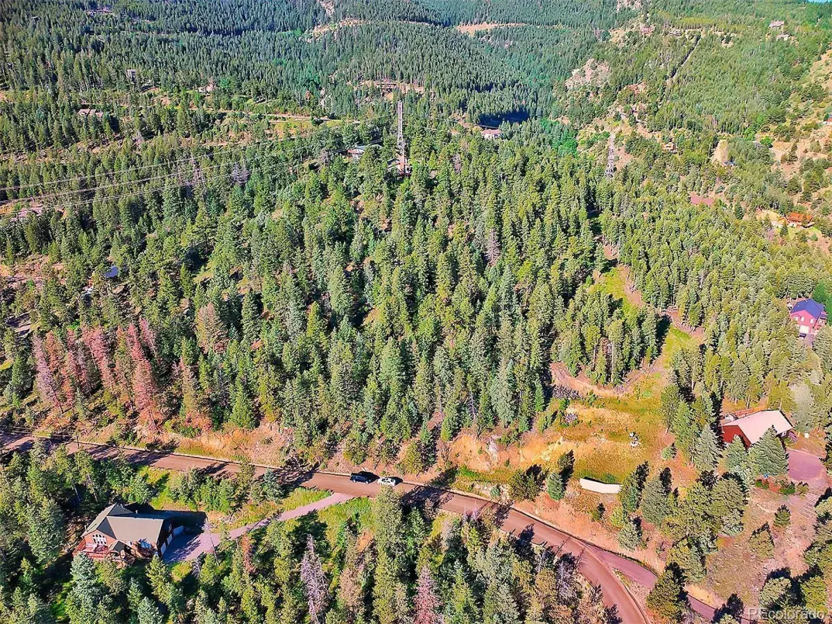 900 Elk Valley Drive Evergreen CO 80439 MLS #REC2247699 06242025010416 1200 2