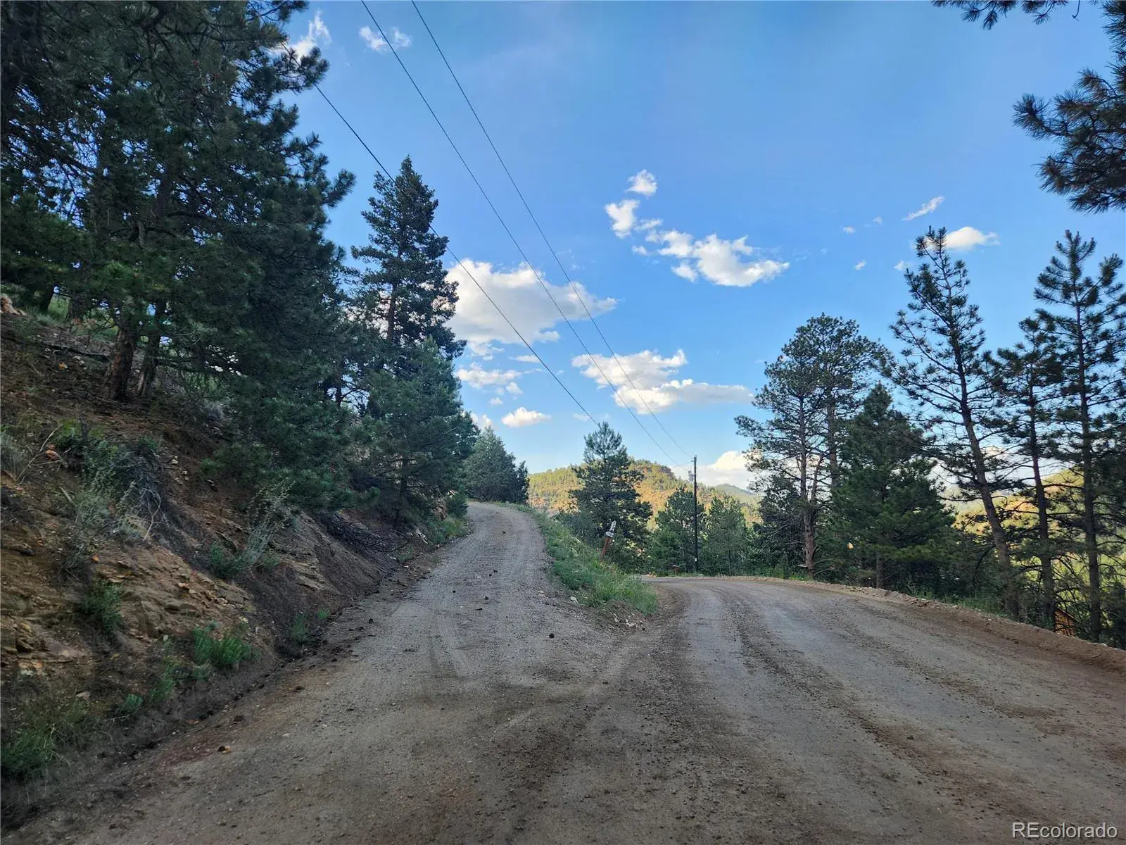 900 Elk Valley Drive Evergreen CO 80439 MLS #REC2247699 06242025010416 1600 30