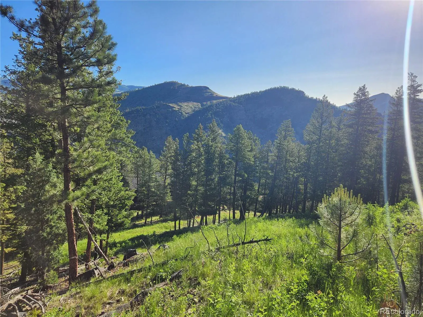 900 Elk Valley Drive Evergreen CO 80439 MLS #REC2247699 06242025010416 1600 33