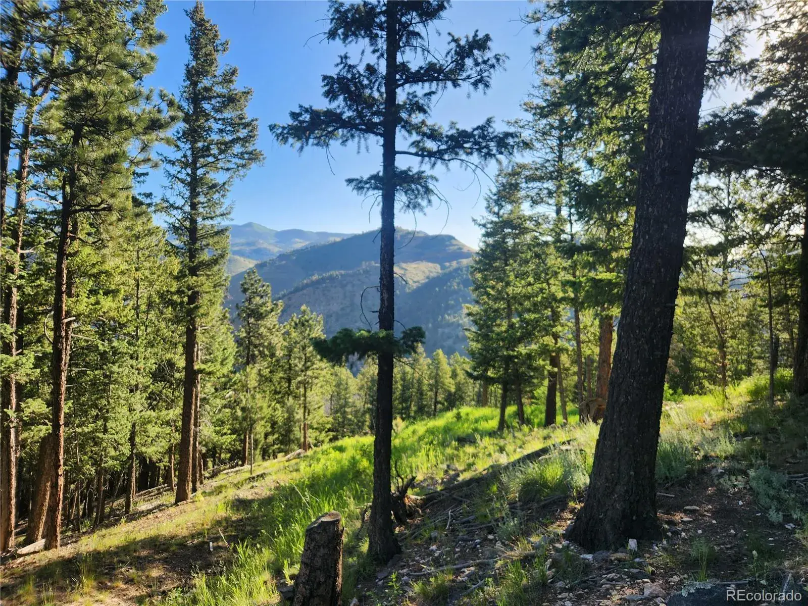 900 Elk Valley Drive Evergreen CO 80439 MLS #REC2247699 06242025010416 1600 34