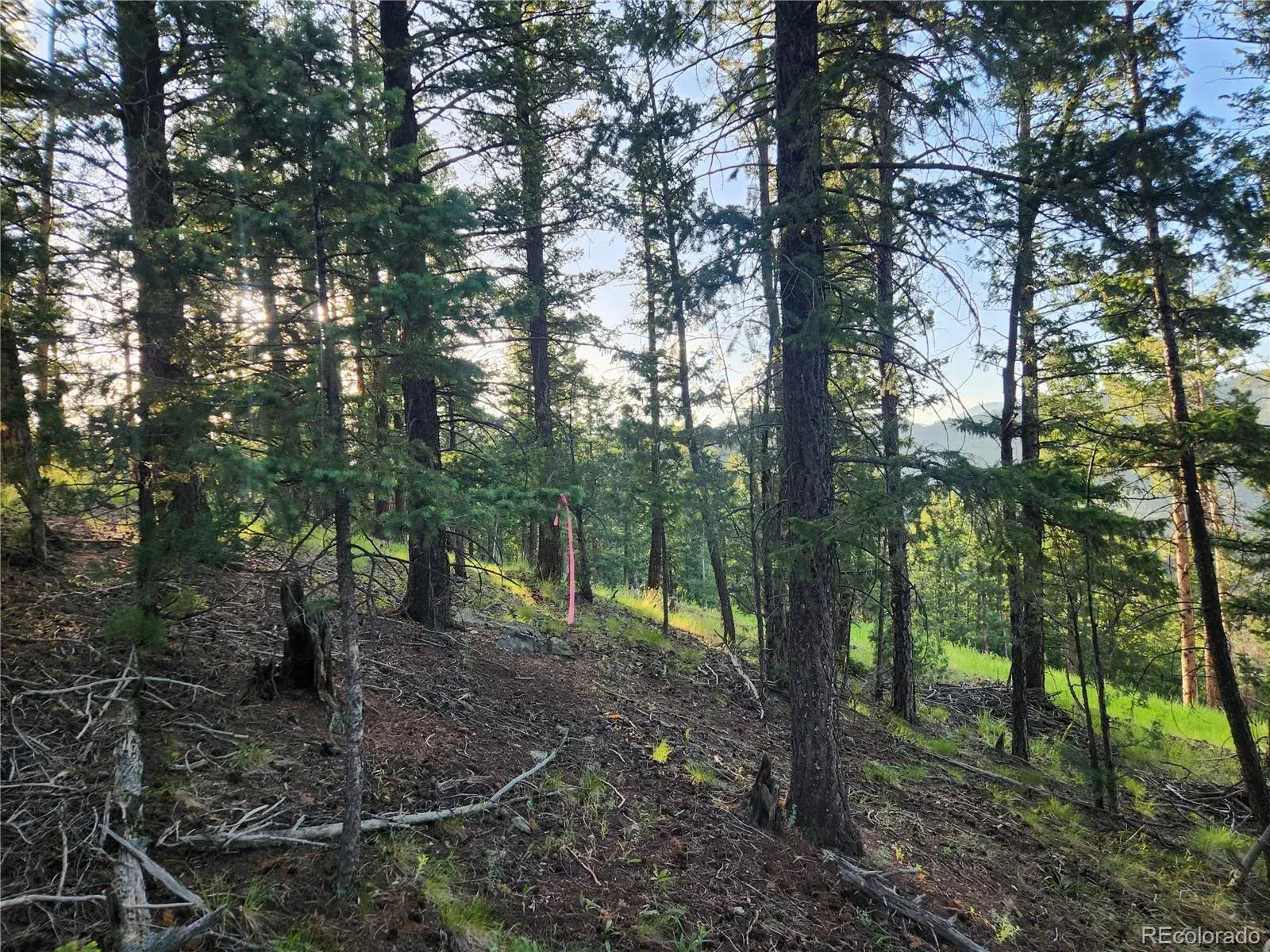 900 Elk Valley Drive Evergreen CO 80439 MLS #REC2247699 06242025010416 1600 41
