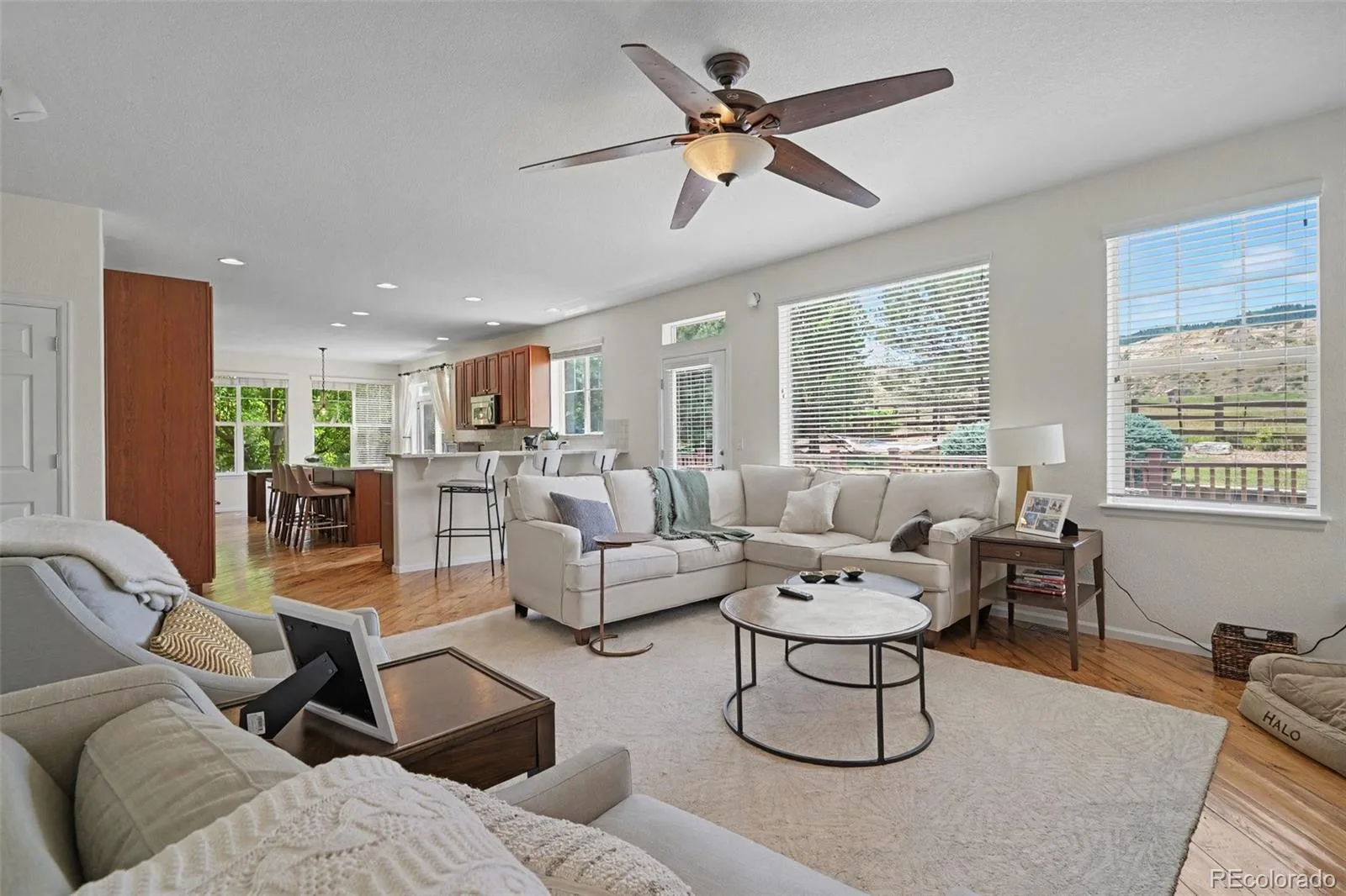 10558 Paint Place Littleton CO 80125 | MLS #REC2253471 08012026072410 1600 11