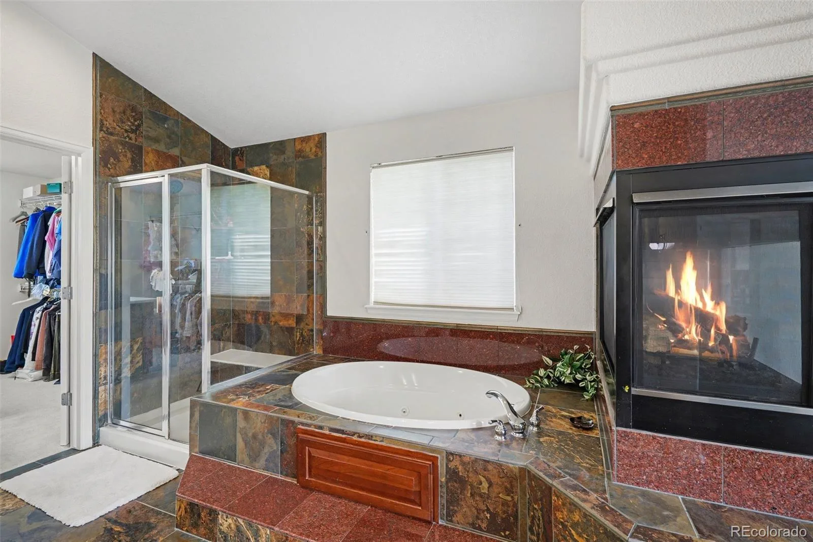 10558 Paint Place Littleton CO 80125 | MLS #REC2253471 08012026072410 1600 20