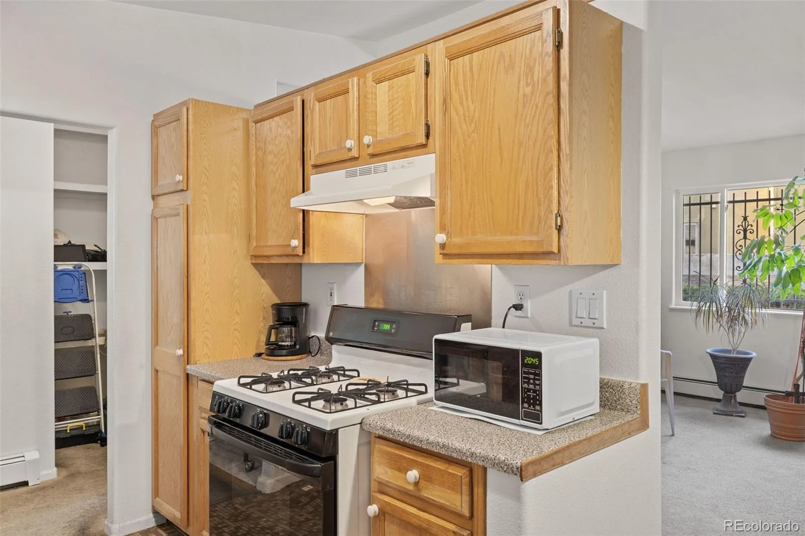 760 Lupine Street Golden CO 80401 | MLS #REC2253588 08042026021659 1600 11