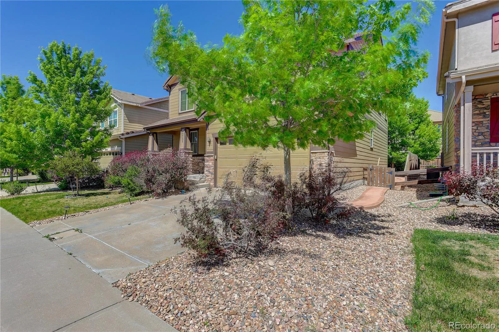 10768 Hillsboro Street Parker CO 80134 MLS #REC2258741 06142026101707 1600 36