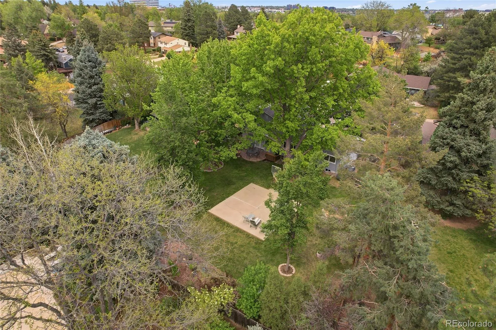 3945 S Willow Way Denver CO 80237 MLS #REC2267041 05232026092331 1600 35