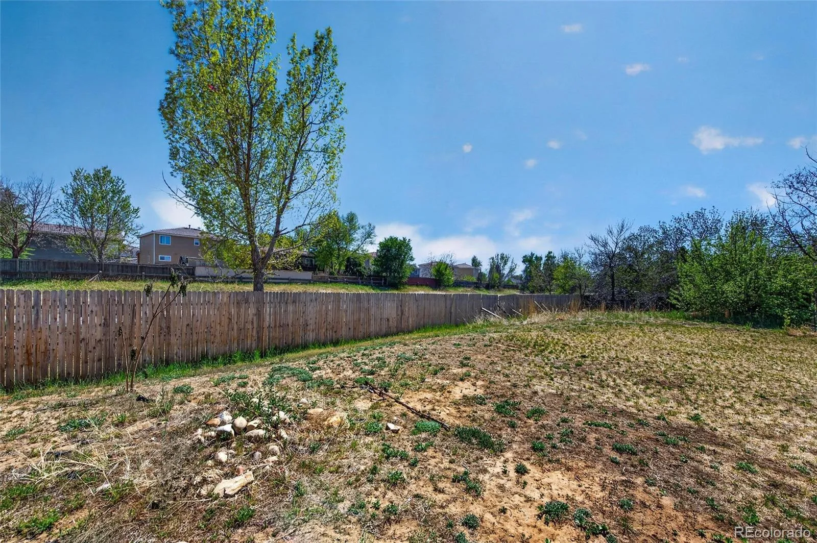 4515 Gibraltar Street Denver CO 80249 MLS #REC2274229 04202026062107 1600 16