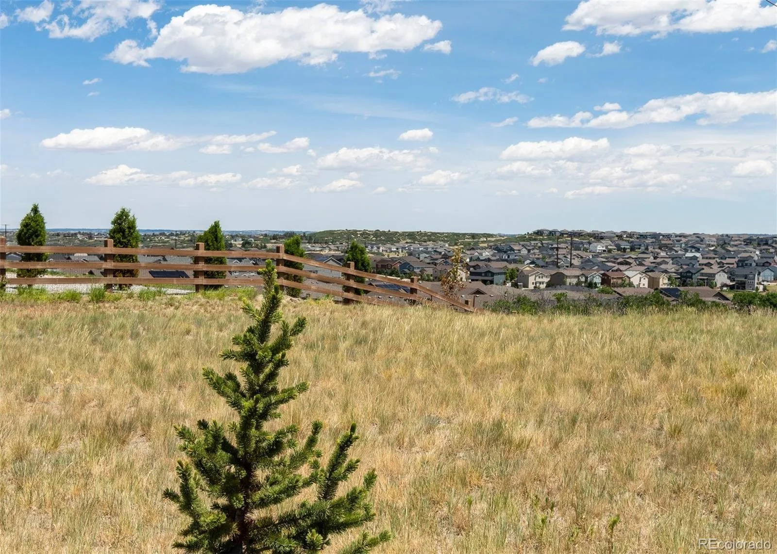 465 Silver Rock Trail Castle Rock CO 80104 | MLS #REC2277007 06302026182633 1600 3