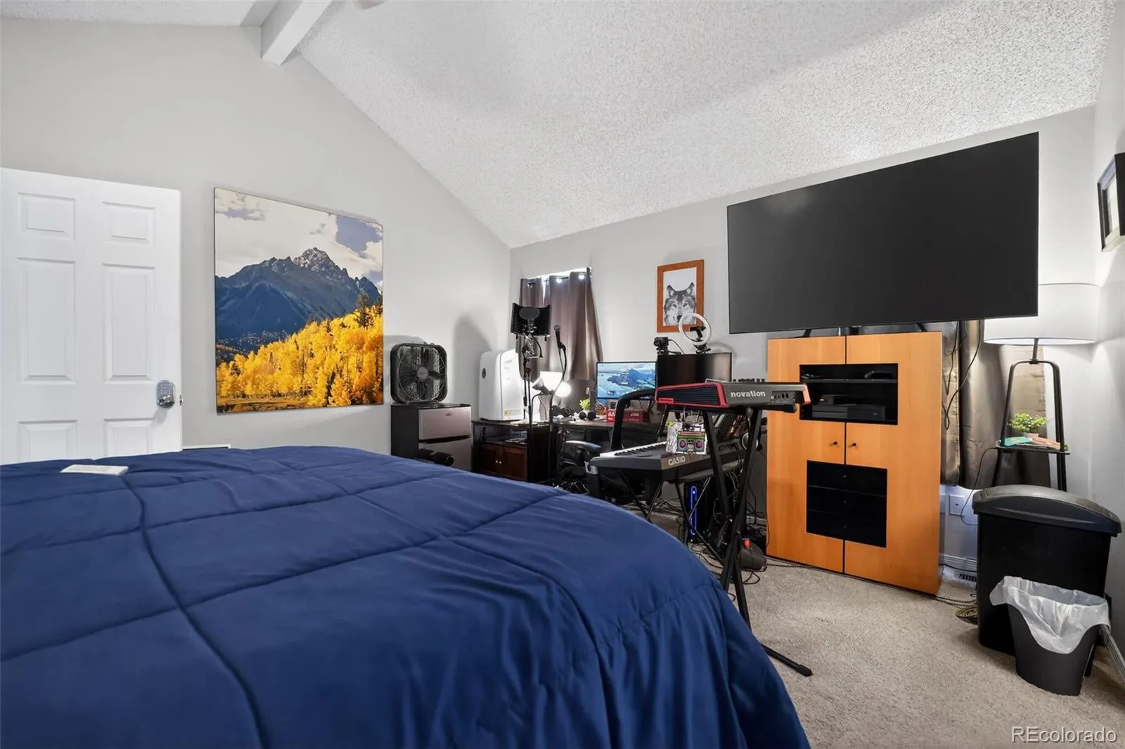10018 King Street Westminster CO 80031 MLS #REC2278413 05262026204856 1600 12