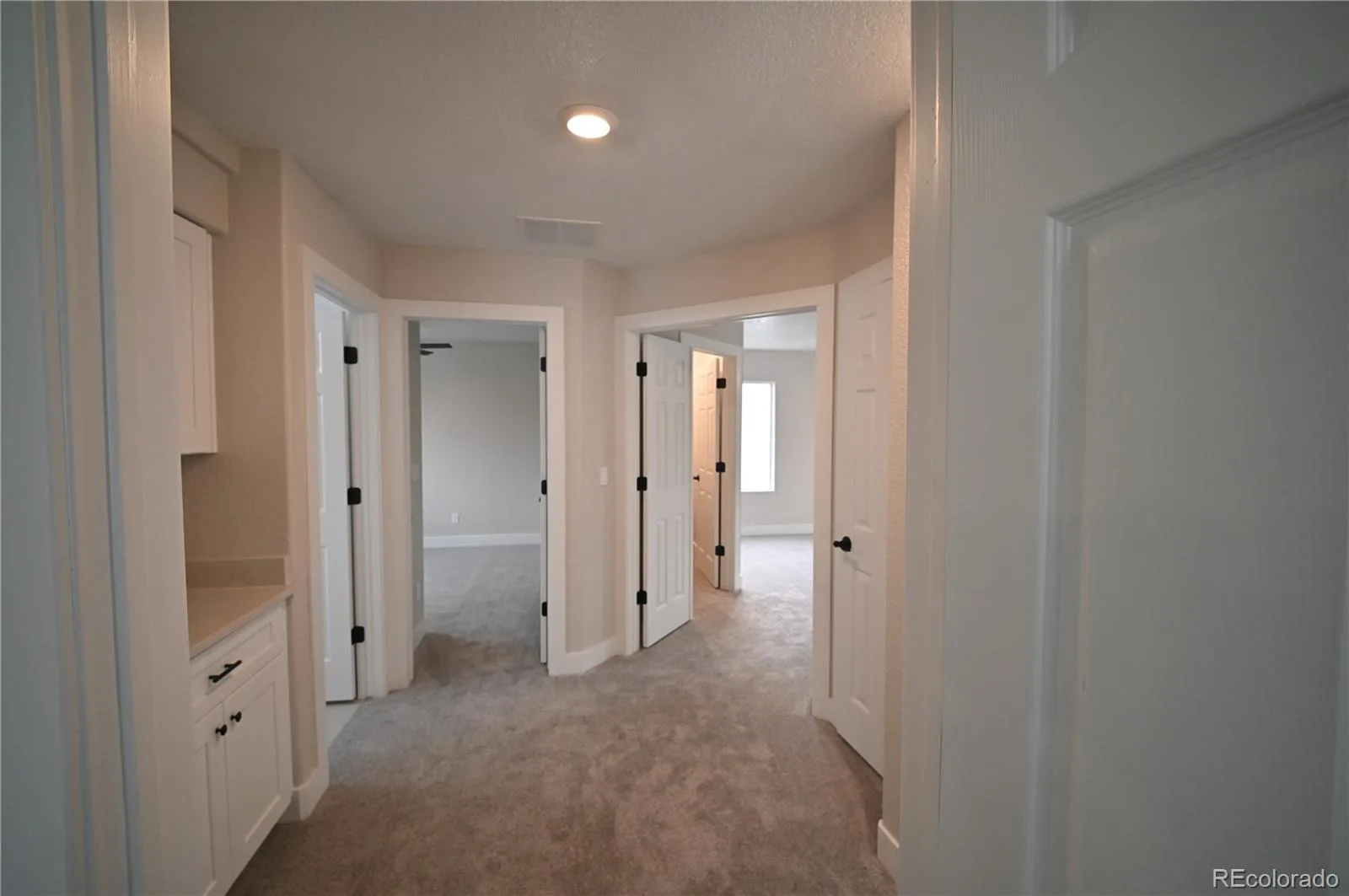 19834 E 49th Place Denver CO 80249 | MLS #REC2281074 07122026151320 1600 13
