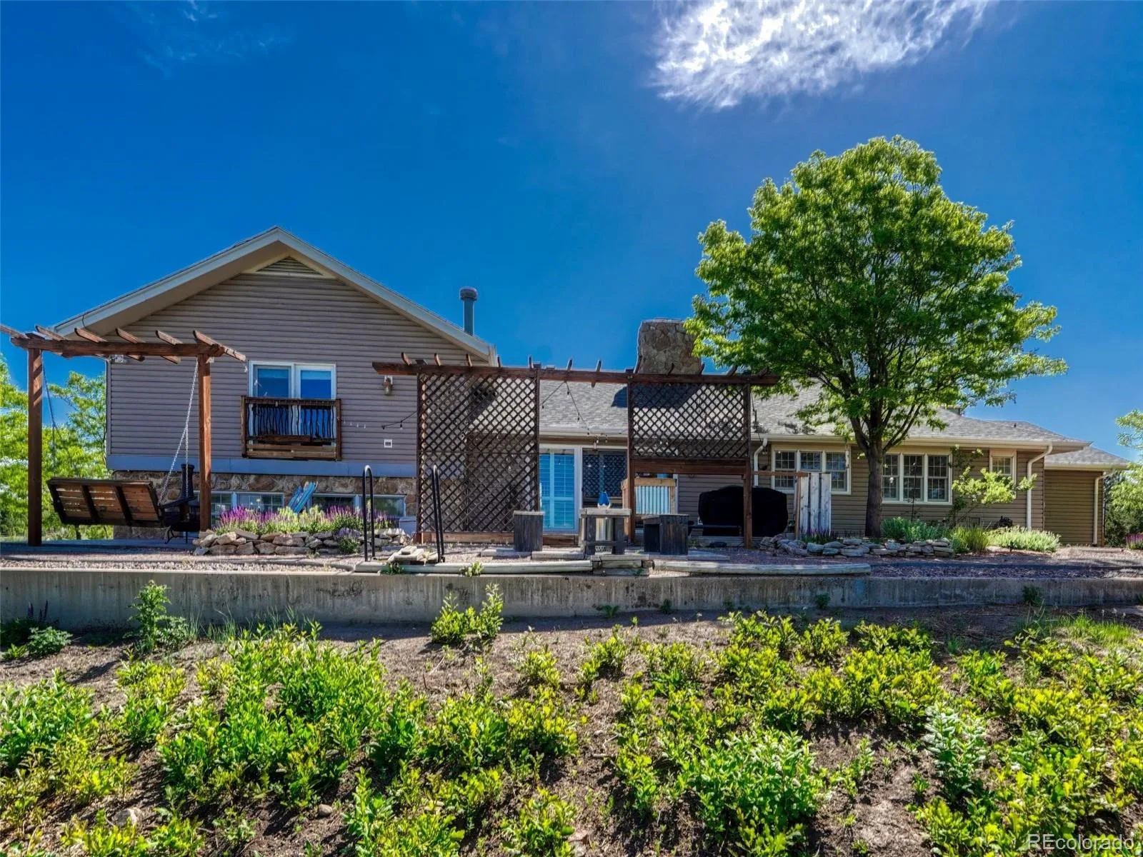 1863 N Rocky View Road Castle Rock CO 80108 | MLS #REC2282088 06132026033201 1600 3