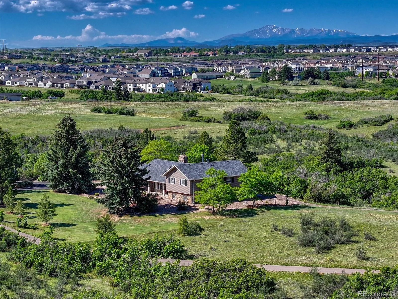 1863 N Rocky View Road Castle Rock CO 80108 | MLS #REC2282088 06132026033201 1600 5