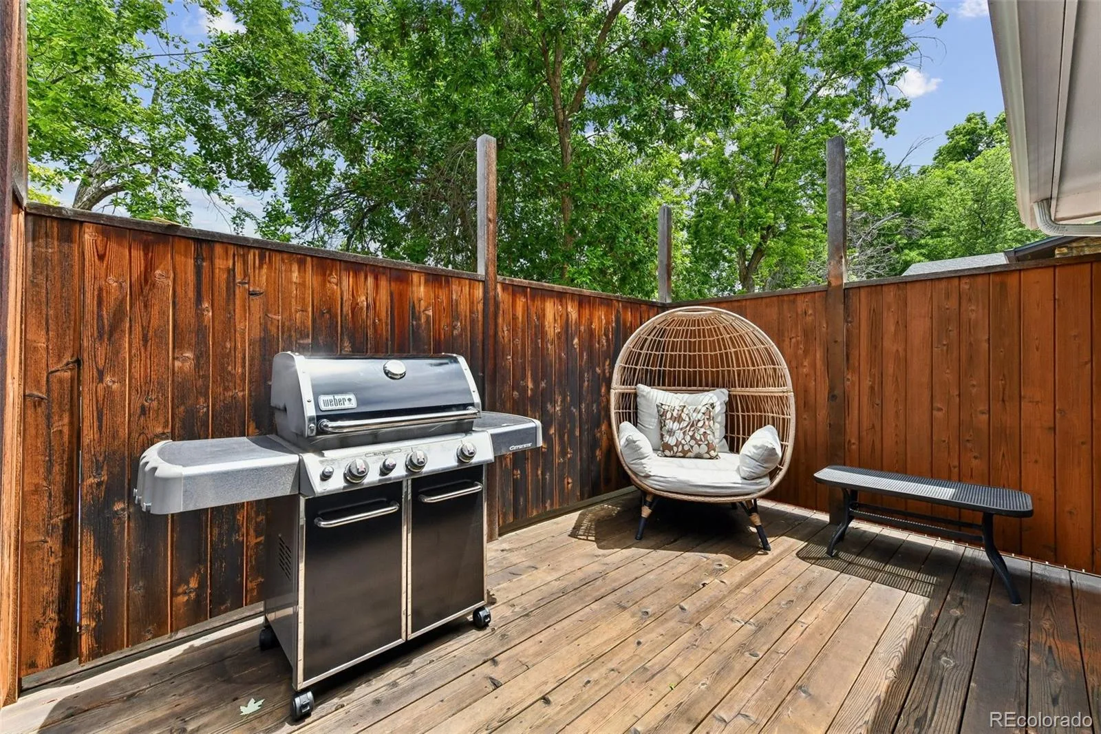 3612 S Spruce Street Denver CO 80237 MLS #REC2302338 06122026173108 1600 30