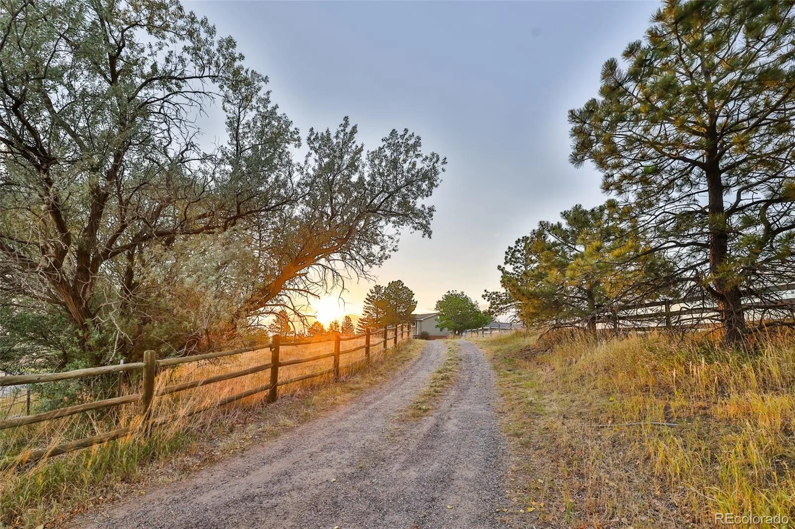 41820 Madrid Drive Parker CO 80138 | MLS #REC2312888 07242026061449 1600 1