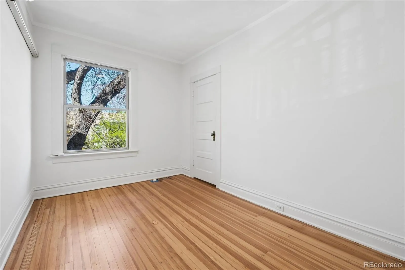 04162026212307 1600 19