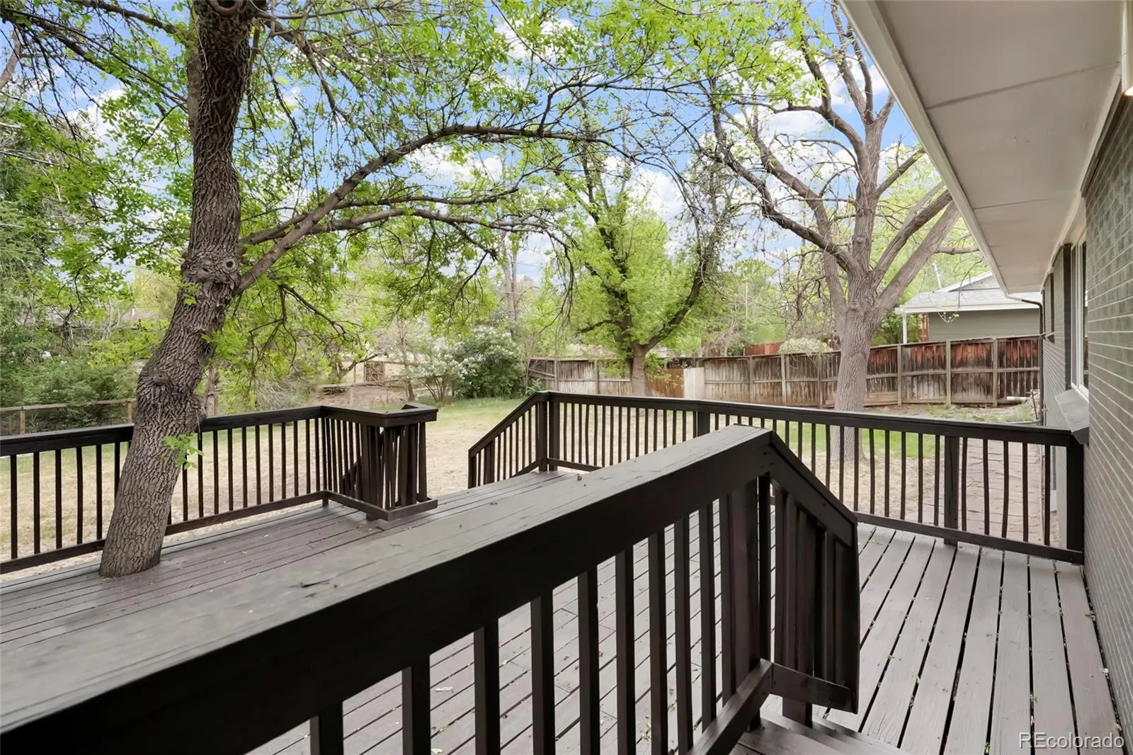 3352 Vivian Drive Wheat Ridge CO 80033 MLS #REC2317777 05192026165457 1600 32