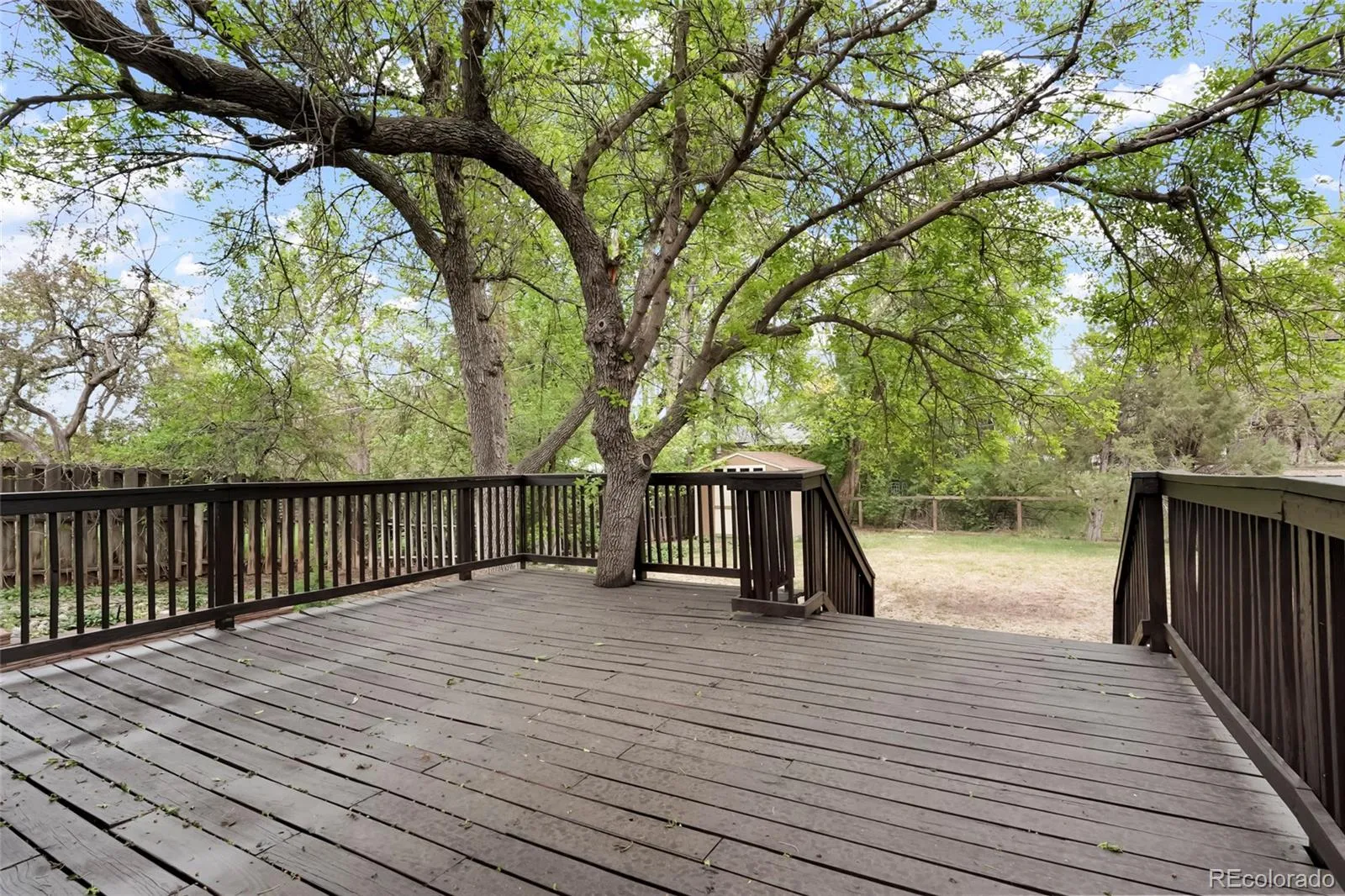 3352 Vivian Drive Wheat Ridge CO 80033 MLS #REC2317777 05192026165457 1600 33