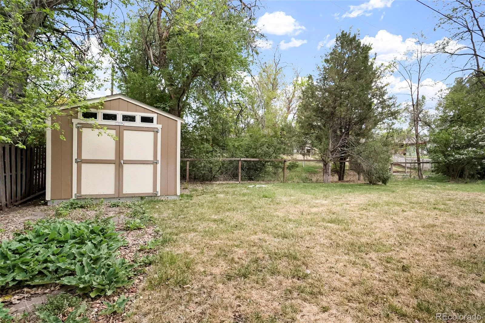 3352 Vivian Drive Wheat Ridge CO 80033 MLS #REC2317777 05192026165457 1600 35