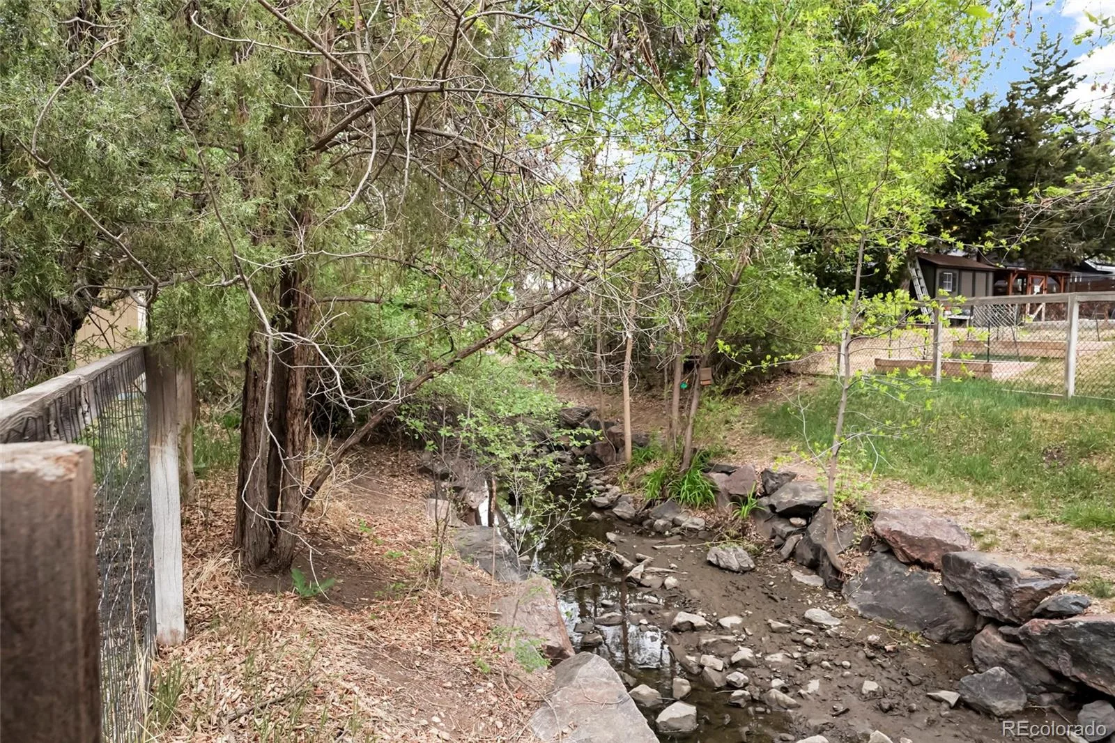 3352 Vivian Drive Wheat Ridge CO 80033 MLS #REC2317777 06192026232446 1600 37