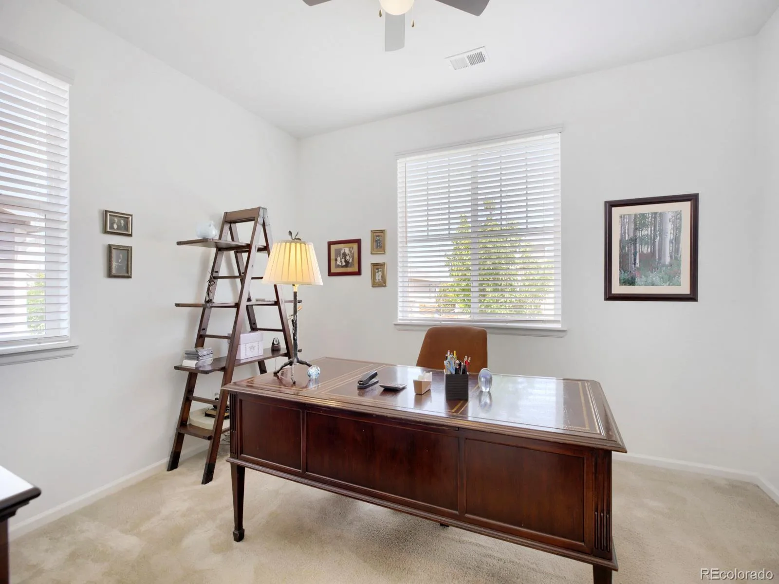 849 Audubon Peak Drive Erie CO 80516 | MLS #REC2319099 06032026221652 1600 17