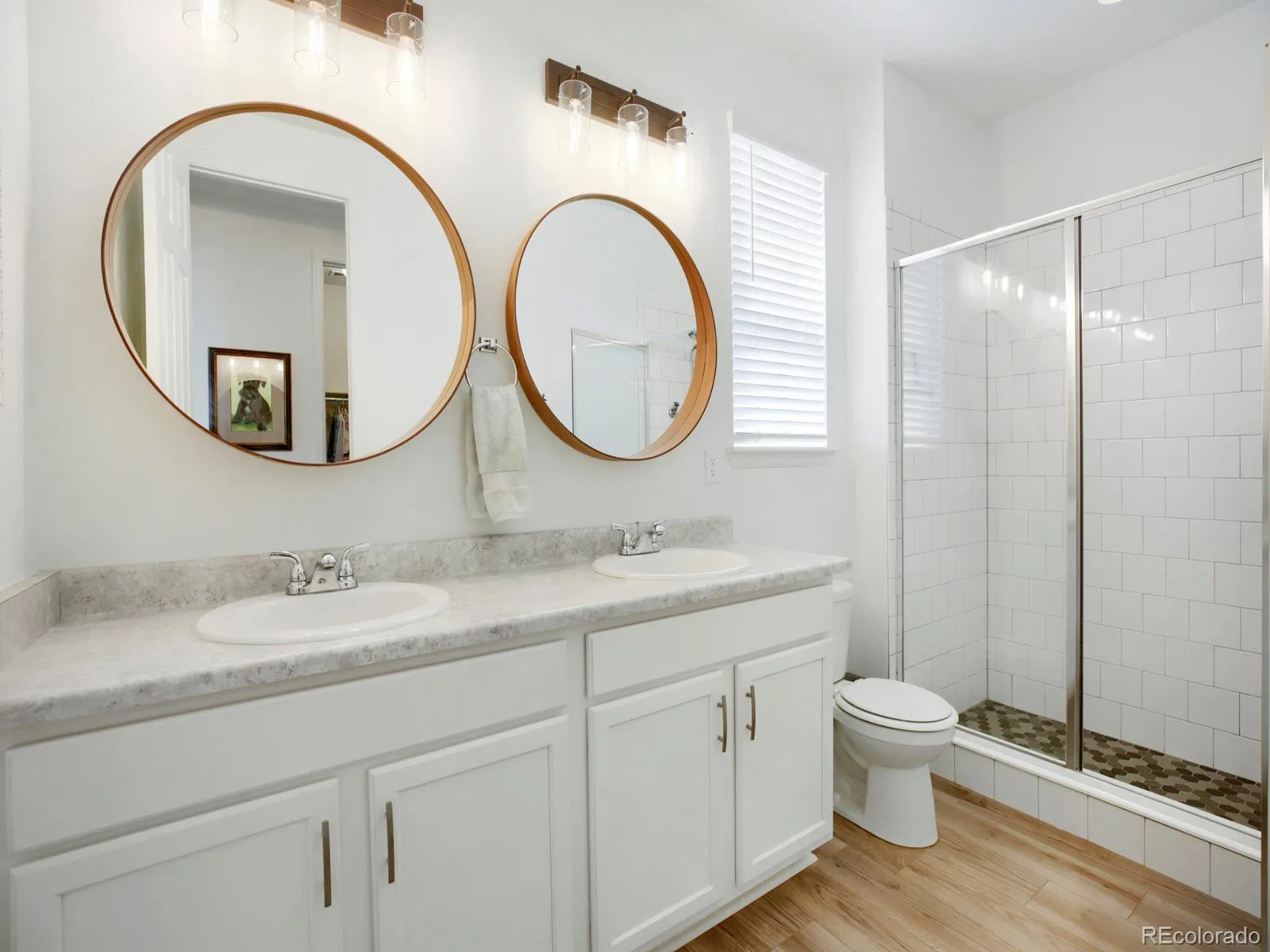 849 Audubon Peak Drive Erie CO 80516 | MLS #REC2319099 06032026221652 1600 19